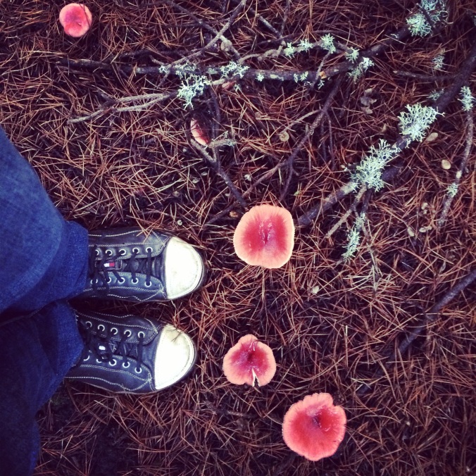 shoes mushroom