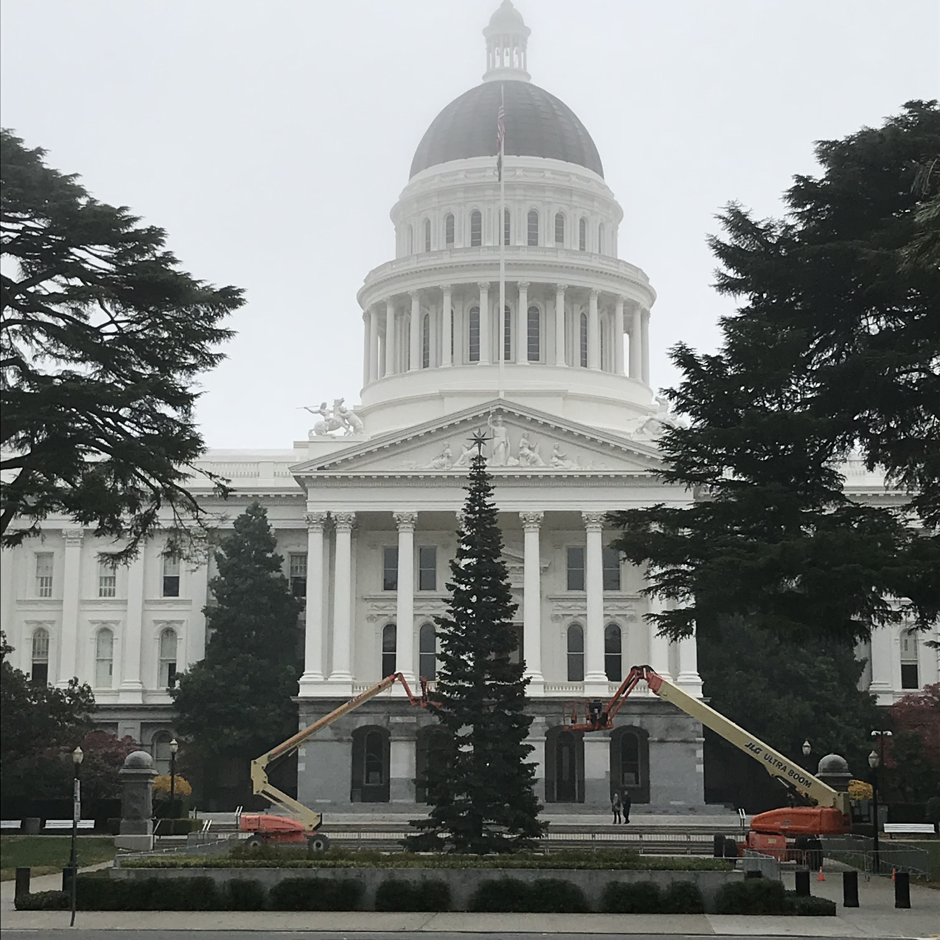 Workers setting up for the tree lighting at the capitol