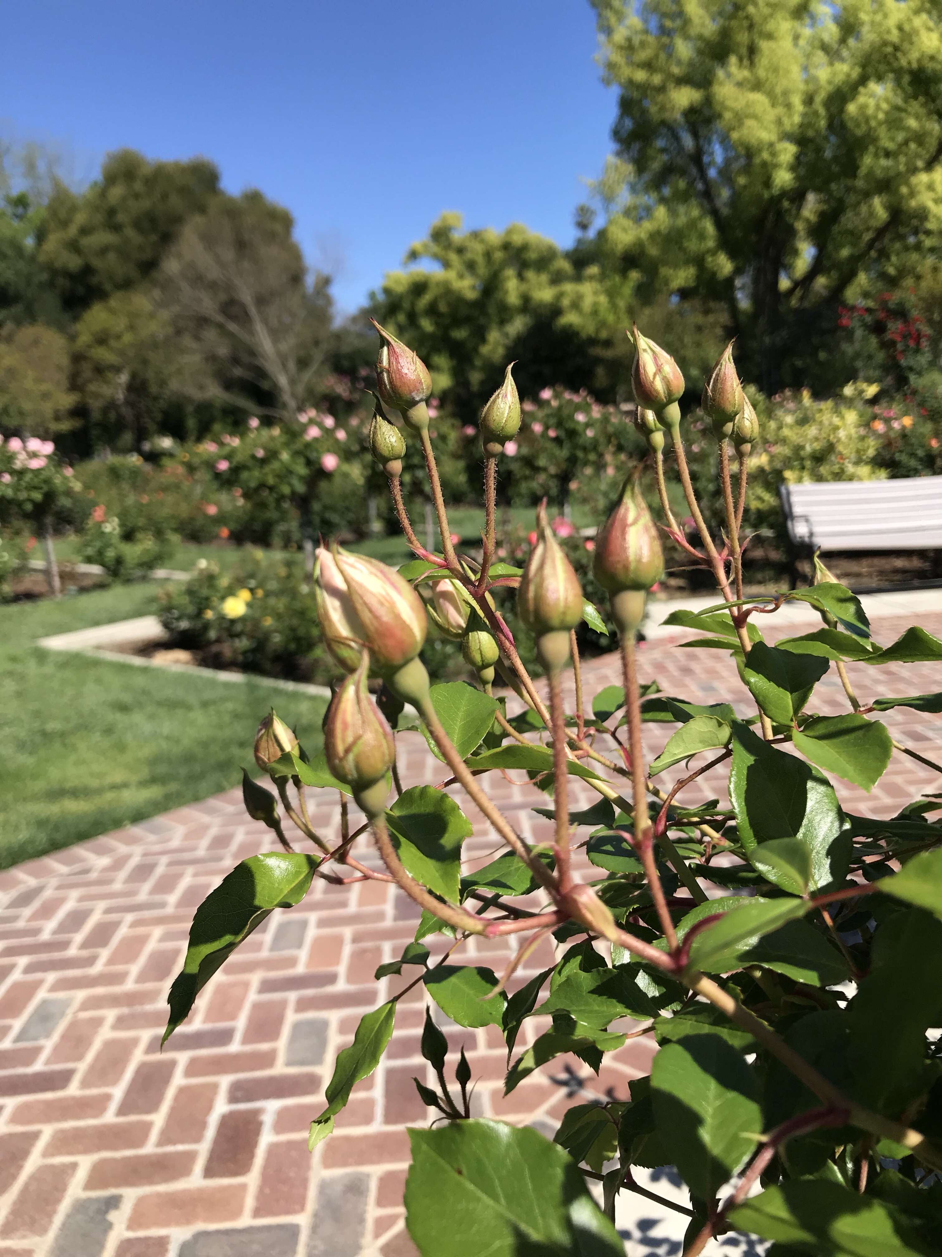 A sign of what’s to come