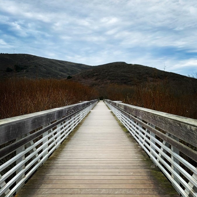 d9ff75e8-cf40-47a6-88f9-f842f471173d